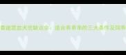 比熊泰迪混血犬优缺点全适合养串串的三大条件及饲养指南