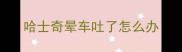 哈士奇晕车吐了怎么办