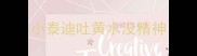 小泰迪吐黄水没精神