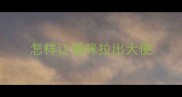 怎样让猫咪拉出大便