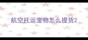 航空托运宠物怎么提货