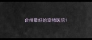 台州最好的宠物医院
