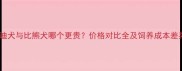 泰迪犬与比熊犬哪个更贵价格对比全及饲养成本差异