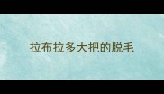 拉布拉多大把的脱毛