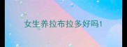 女生养拉布拉多好吗