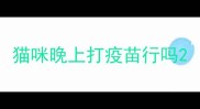 猫咪晚上打疫苗行吗