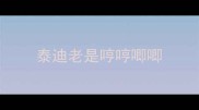 泰迪老是哼哼唧唧