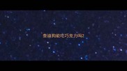 泰迪狗能吃巧克力吗
