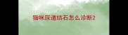 猫咪尿道结石怎么诊断