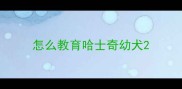 怎么教育哈士奇幼犬