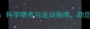 拉布拉多体重管理全攻略科学喂养与运动指南助您养出健康标准体重宠物犬