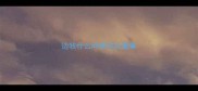 边牧什么时候可以懂事