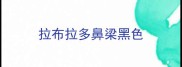 拉布拉多鼻梁黑色