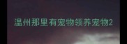 温州那里有宠物领养宠物