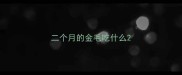 二个月的金毛吃什么