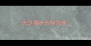 长沙猫咪无偿领养