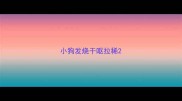 小狗发烧干呕拉稀