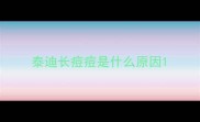 泰迪长痘痘是什么原因