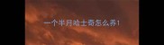 一个半月哈士奇怎么养
