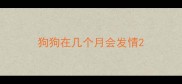狗狗在几个月会发情