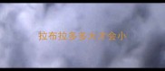 拉布拉多多大才会小