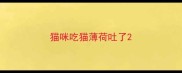 猫咪吃猫薄荷吐了
