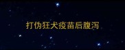 打伪狂犬疫苗后腹泻