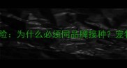 狂犬疫苗混打风险为什么必须同品牌接种宠物医生权威指南