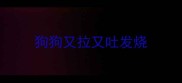 狗狗又拉又吐发烧