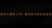 边境牧羊犬能吃水煮萝卜吗营养师犬类安全食用的5大要点