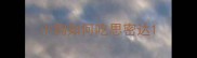 小狗如何吃思密达