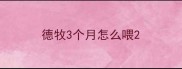 德牧3个月怎么喂