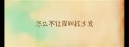 怎么不让猫咪抓沙发