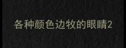 各种颜色边牧的眼睛