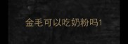 金毛可以吃奶粉吗