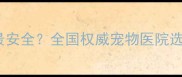 狗狗5联疫苗打哪里最安全全国权威宠物医院选择指南与接种全流程