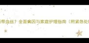 猫咪拉稀带血丝全面病因与家庭护理指南附紧急处理步骤