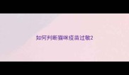 如何判断猫咪疫苗过敏