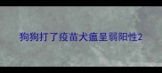 狗狗打了疫苗犬瘟呈弱阳性