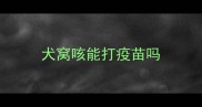 犬窝咳能打疫苗吗