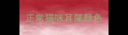 正常猫咪耳屎颜色