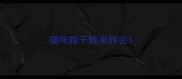 猫咪脖子转来转去