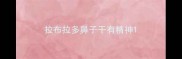 拉布拉多鼻子干有精神