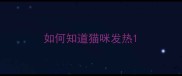 如何知道猫咪发热