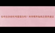 拉布拉多能吃鸡蛋蛋白吗科学喂养指南及营养建议