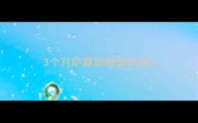 3个月萨摩耶喂食时间