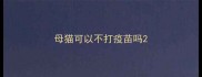 母猫可以不打疫苗吗