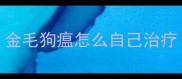 金毛狗瘟怎么自己治疗