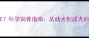 马犬多少月算成年科学饲养指南从幼犬到成犬的全周期养护要点