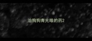 治狗狗青光眼的药